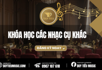 Các Nhạc Cụ Khác