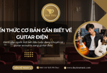 Những Kiến Thức Nền Tảng Bạn Cần Biết Trước Khi Học Guitar Điện