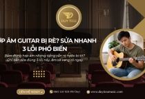 Bấm Hợp Âm Guitar Hay Bị Rè, Bị Tịt? 3 Lỗi Người Mới Mắc Nhiều Nhất Và Cách Sửa Ngay
