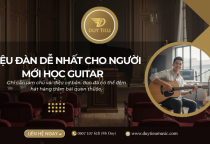 3 Điệu Đàn Guitar Dễ Nhất Giúp Bạn Đệm Hát Hàng Trăm Bài Chỉ Với Vài Thế Tay