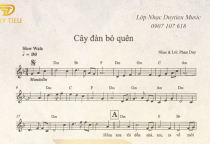 Sheet Nhạc "Cây Đàn Bỏ Quên"