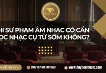 Thi Sư Phạm Âm Nhạc Có Cần Học Nhạc Cụ Từ Sớm Không?