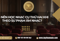 Có Nên Học Nhạc Cụ Thứ Hai Khi Theo Sư Phạm Âm Nhạc?