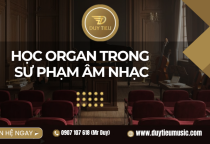 Học Organ Trong Sư Phạm Âm Nhạc