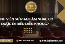 Sinh Viên Sư Phạm Âm Nhạc Có Được Đi Biểu Diễn Không? 