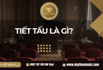 Tiết Tấu Là Gì?