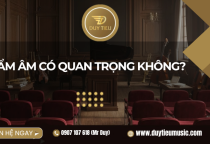 Thẩm Âm Có Quan Trọng Không?