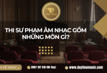 Thi Sư Phạm Âm Nhạc Gồm Những Môn Gì?