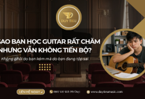 Vì Sao Bạn Học Guitar Rất Chăm Nhưng Vẫn Không Tiến Bộ? 5 Nguyên Nhân Ít Ai Nhận Ra
