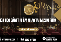 Khóa Học Cảm Thụ Âm Nhạc Tại Mizuki Park