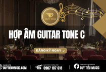 Bộ hợp Âm Tone Am