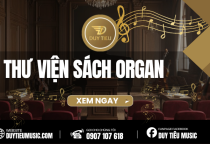 Thư Viện Sách Organ
