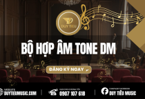 Bộ Hợp Âm Tone Dm