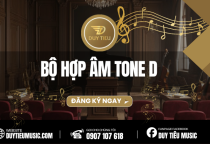 Bộ Hợp Âm Tone D