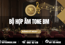 Bộ Hợp Âm Tone Bm