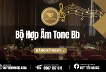 Bộ Hợp Âm Tone Bb