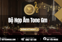 Bộ Hợp Âm Tone Gm