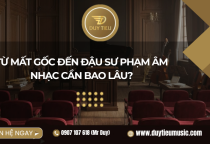 Từ Mất Gốc Đến Đậu Sư Phạm Âm Nhạc Cần Bao Lâu?