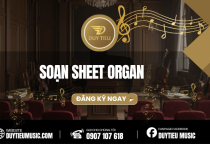 Soạn Sheet Organ