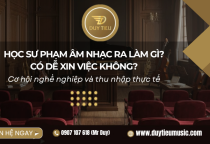 Học Sư Phạm Âm Nhạc Ra Làm Gì? Có Dễ Xin Việc Không?