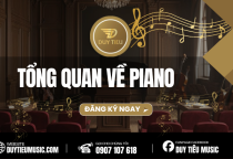 Tổng Quan Về Piano