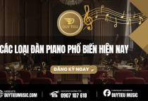 Các Loại Đàn Piano Phổ Biến Hiện Nay