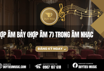 Hợp Âm Bảy (Hợp Âm 7) Trong Âm Nhạc