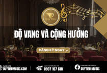 Độ Vang Và Cộng Hưởng
