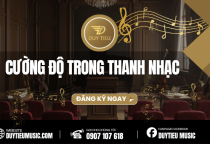 Cường Độ Trong Thanh Nhạc