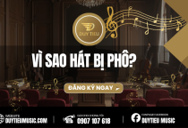 VÌ SAO HÁT BỊ PHÔ?