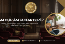 Bấm Hợp Âm Guitar Bị Rè: Nguyên Nhân & Cách Khắc Phục TỪ GỐC Cho Người Mới