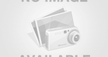 Những Thuật Ngữ Âm Nhạc Cơ Bản Người Mới Cần Biết