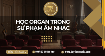 Học Organ Trong Sư Phạm Âm Nhạc