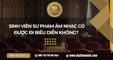 Sinh Viên Sư Phạm Âm Nhạc Có Được Đi Biểu Diễn Không? 