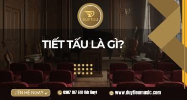 Tiết Tấu Là Gì?