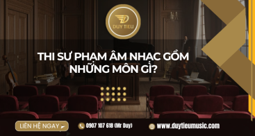 Thi Sư Phạm Âm Nhạc Gồm Những Môn Gì?