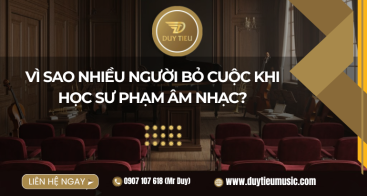 Vì Sao Nhiều Người Bỏ Cuộc Khi Học Sư Phạm Âm Nhạc? 