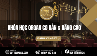 Khóa Học Organ