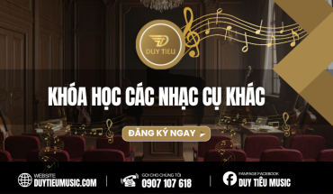 Các Nhạc Cụ Khác