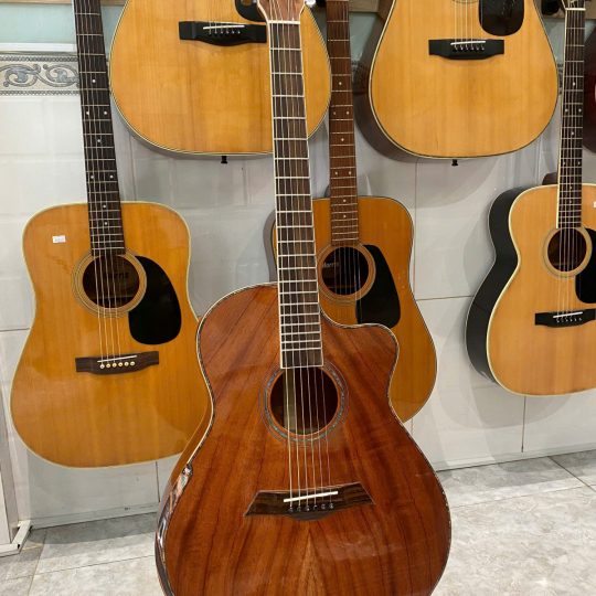 Guitar Acoustic Việt Nam