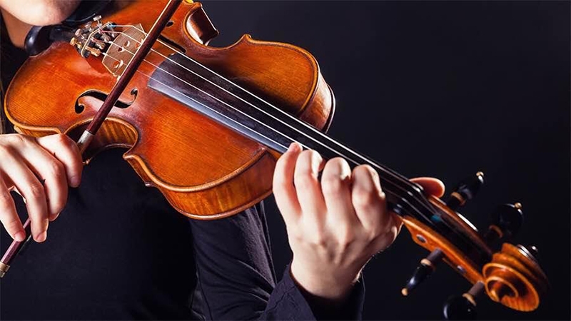 Chơi violin có khó không? Mất bao lâu để chơi thành thạo?