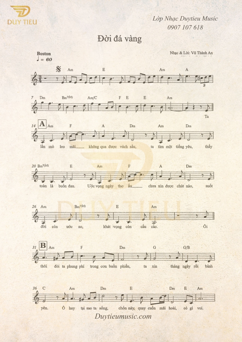 Đời Đá Vàng - Vũ Thành An - Duytieu Music 