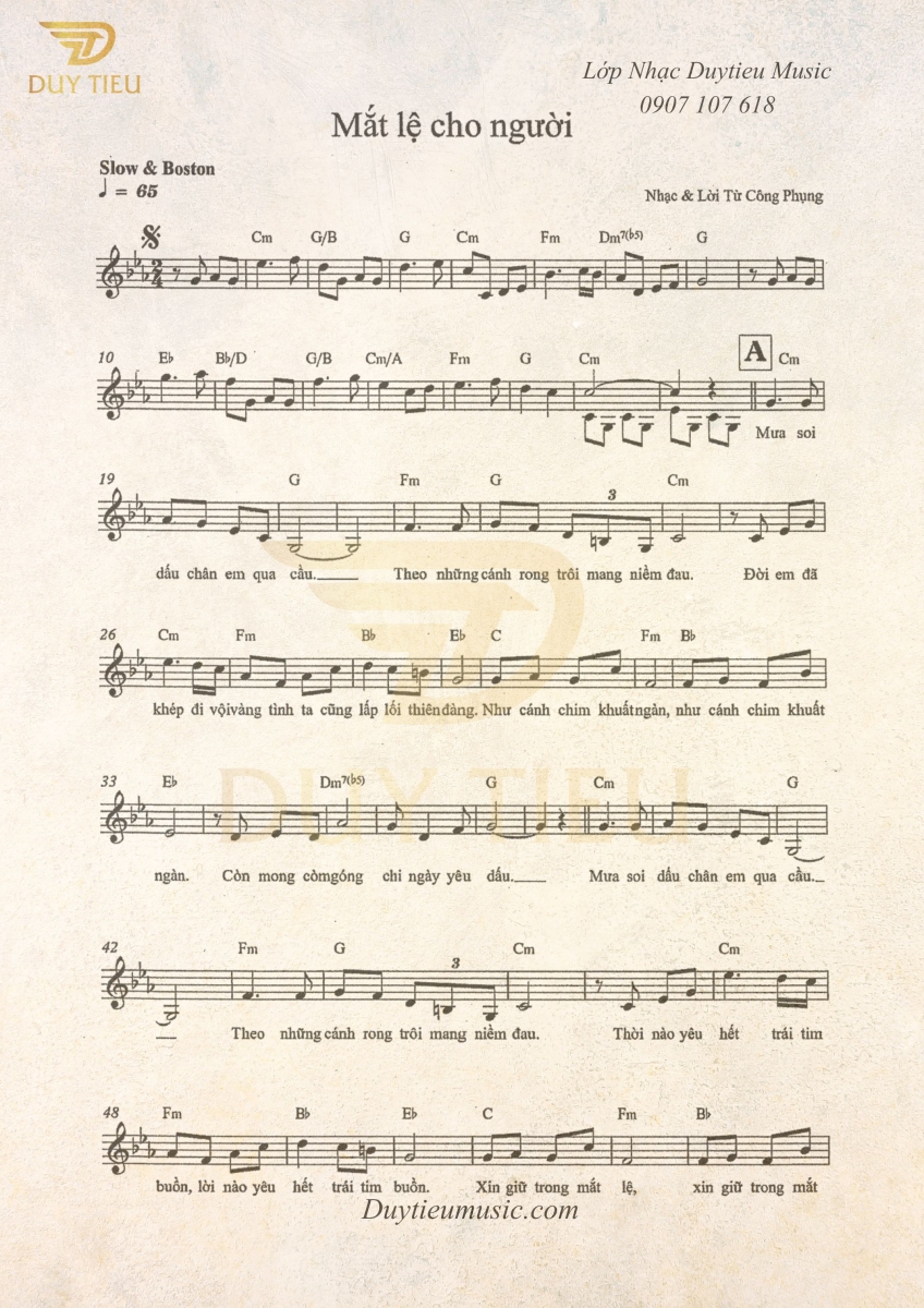 Mắt Lệ Cho Người - Từ Công Phụng - Duytieu Music 