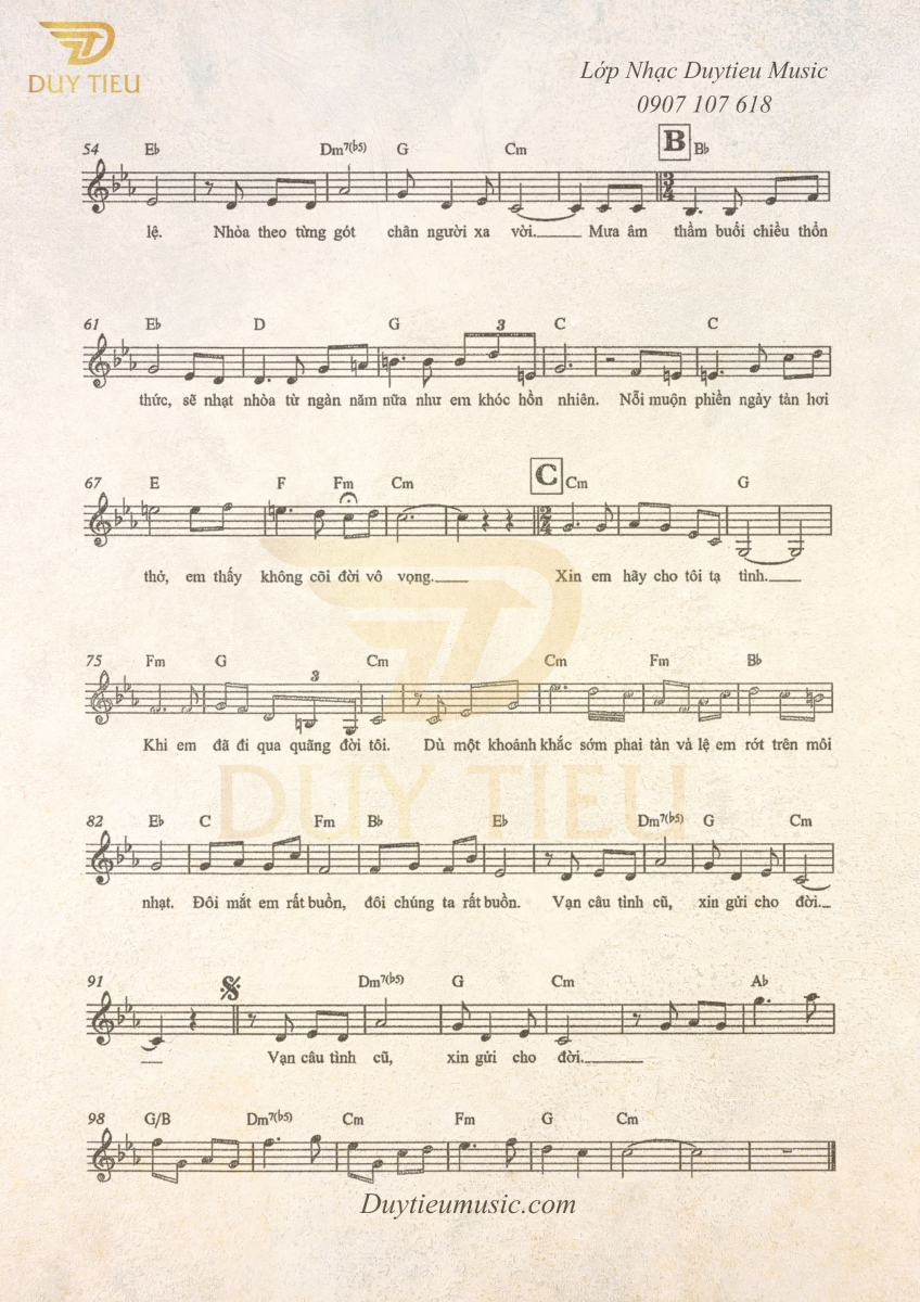 Mắt Lệ Cho Người - Từ Công Phụng - Duytieu Music 