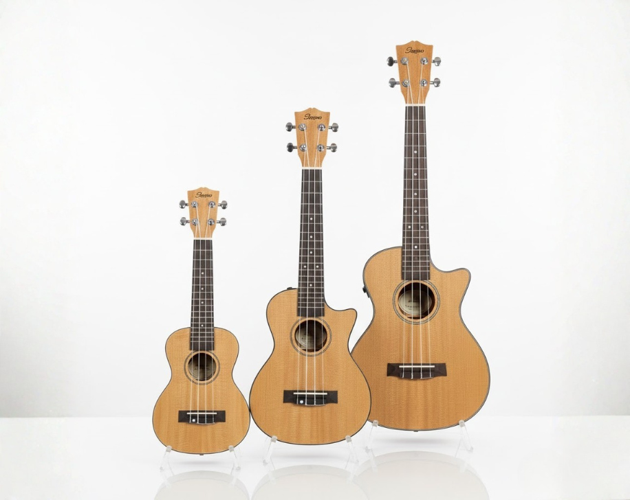 Ba kích thước ukulele phổ biến dành cho người mới.