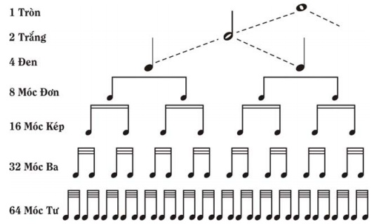 HỆ THỐNG KÝ HIỆU TRƯỜNG ĐỘ CƠ BẢN