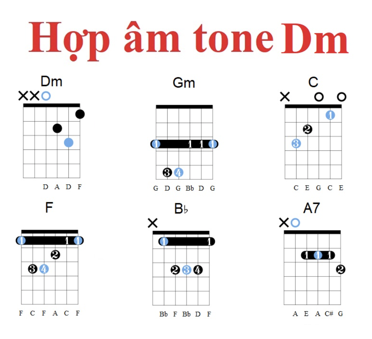 Tổng hợp các hợp âm cơ bản trong Tone Dm.