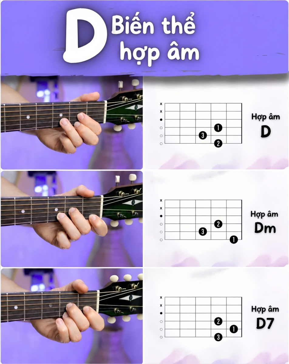 Cách bấm hợp âm D trên guitar