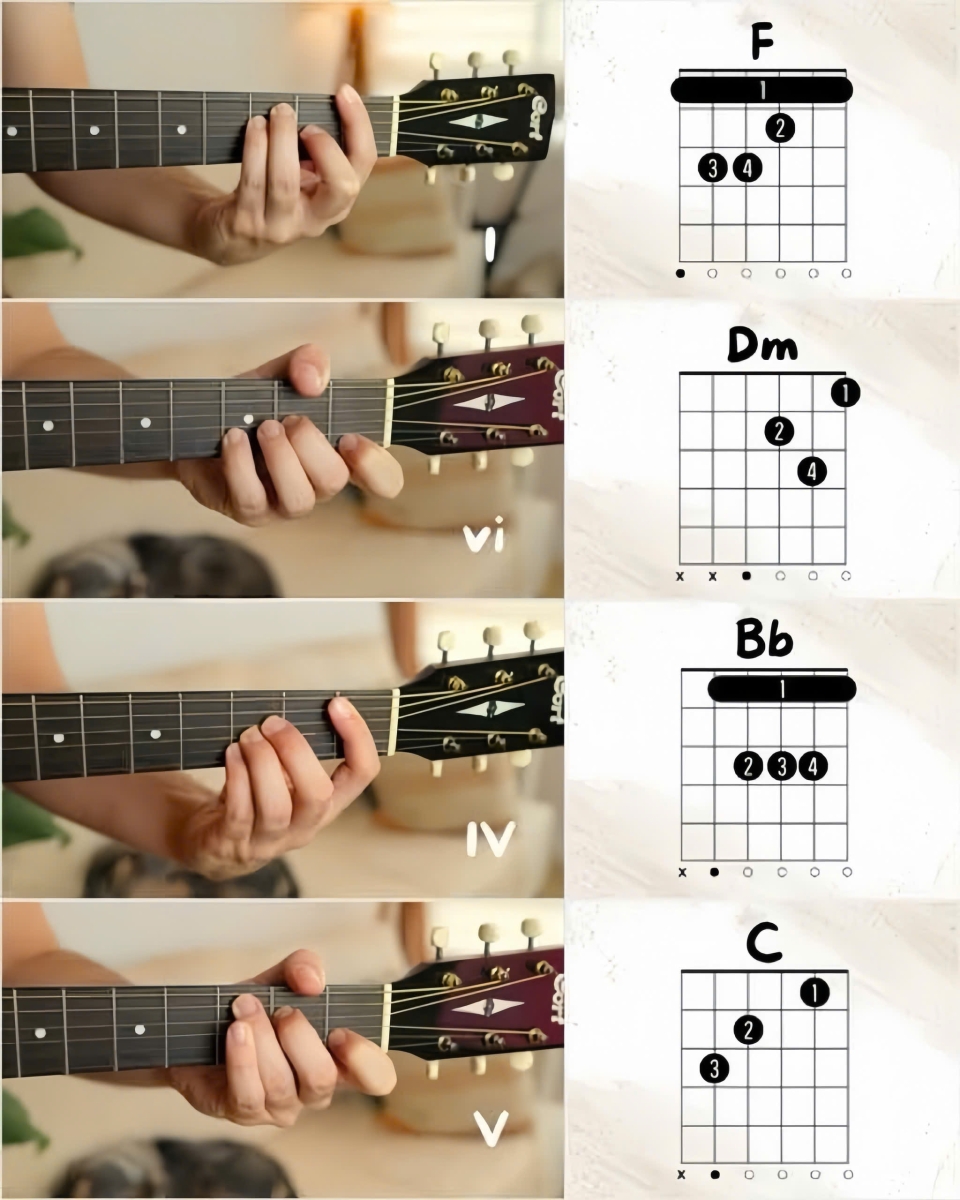 Một số hợp âm cơ bản trong Tone F dành cho guitar