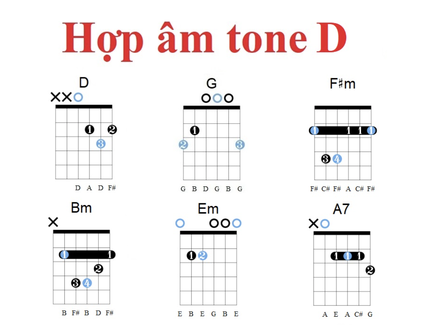 Bộ hợp âm Tone D dành cho guitar